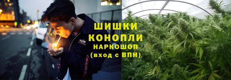 Каннабис White Widow  Голицыно 